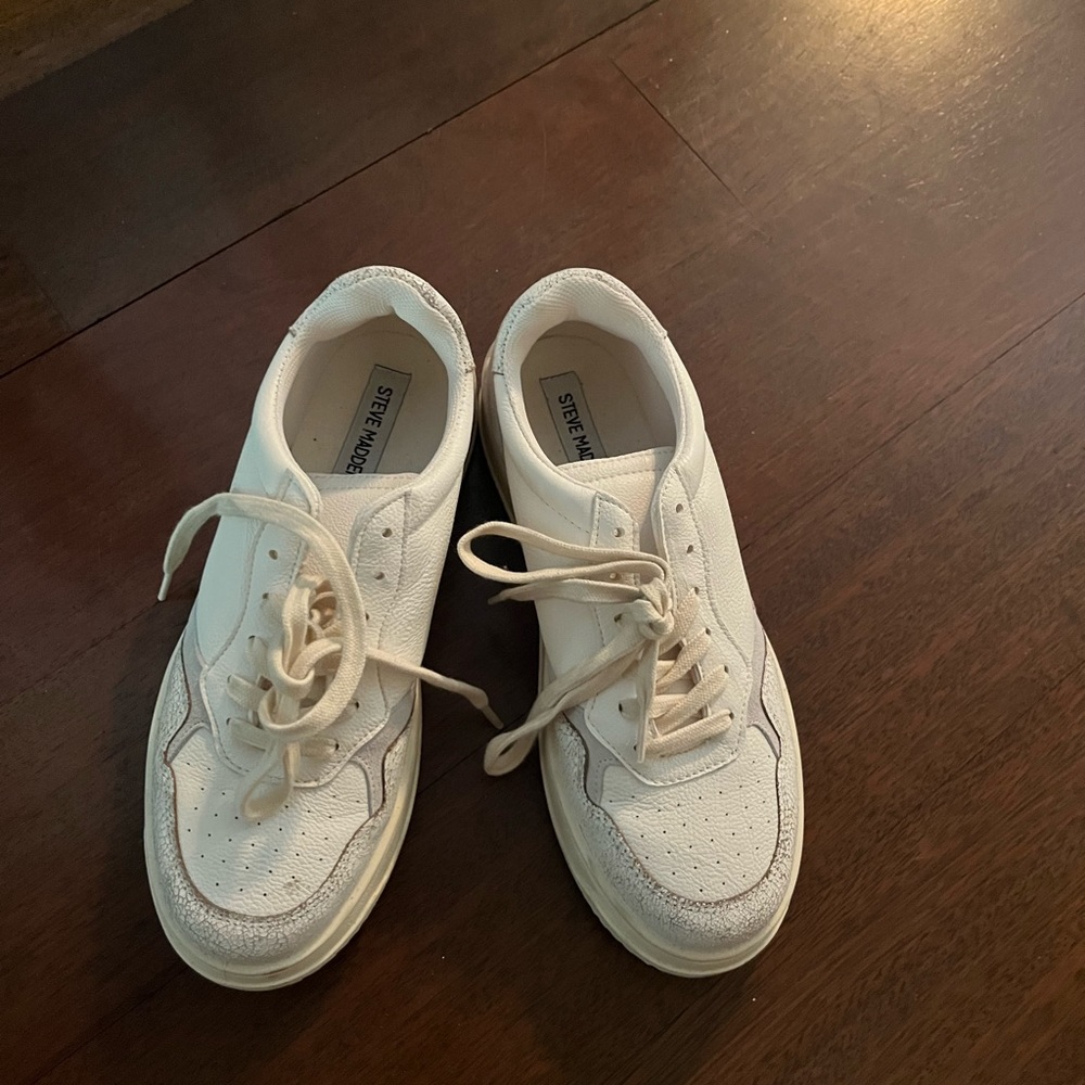 Steve Madden sneaker